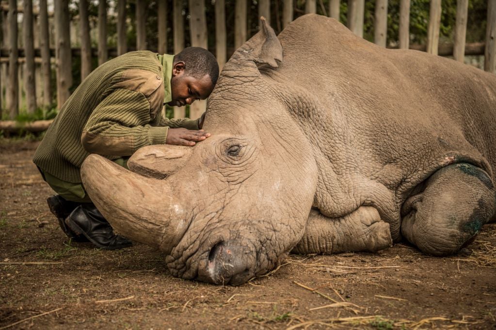 ChangeMaker Series-Wild Hope: Rethinking our Relationship with Nature (student matinee)